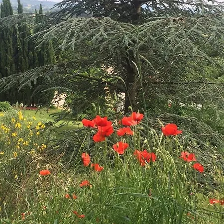 Bed and breakfast Casale Sant'elia Capranica