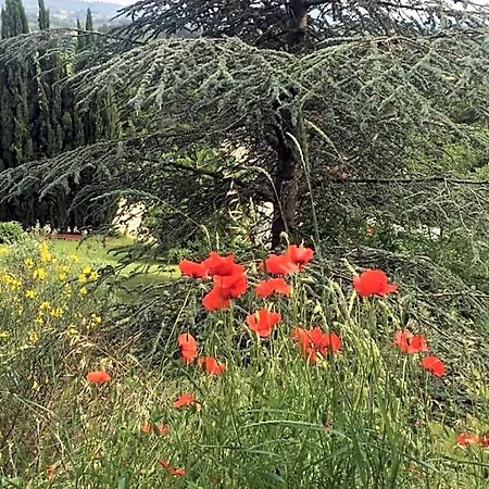 Casale Sant'elia